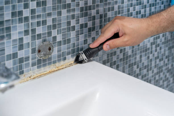Best Mold Removal and Inspection  in South Shore, KY